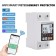 WIFI Smart Switch Trip Switch Smart Life Energy Meter Kwh Metering Circuit Breaker Timer with Voltage Current and Leakage Protection 1P+N 63A